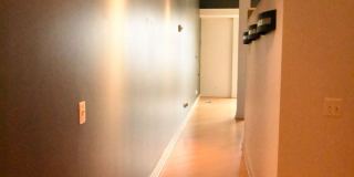 Chic, Contemporary 1 BD 1.5 BA Condo in the Mount Pleasant neighborhood of NW DC!! Gallery 29