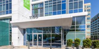 Lex and Leo at Waterfront Station Gallery 21