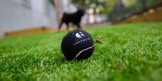 Greenside Gallery 27