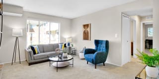 The Maxwell Gallery 20