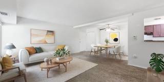Fox Club Gallery 40