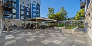 Traditions at Federal Way - 55+ Senior Housing Gallery 7