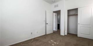 716 CALAMUS PALM Place Gallery 19