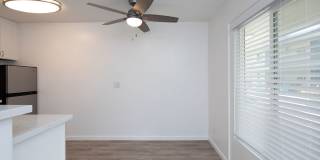 Aztec Pacific Gallery 19