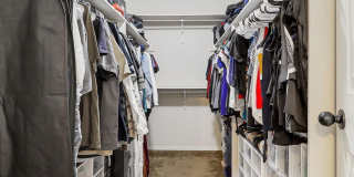 2305 Honey Dew Gallery 21