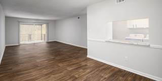 Hidden Colony Gallery 1