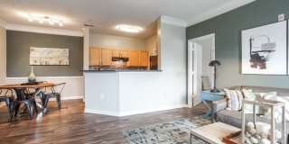 Meadow View Gallery 4