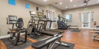 Diamond Mesa Gallery 13