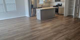 Brand New Gorgeous 3 bedroom 2 bath Gallery 1