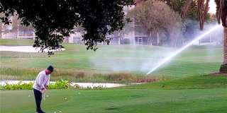 9470 Poinciana Pl Gallery 15