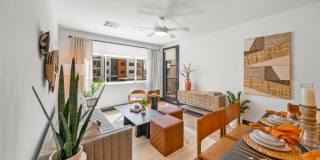 Harwood on Cave Creek Gallery 35