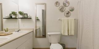 Stadium Park - Student Housing Gallery 13