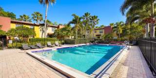 Downtown Orlando (Lake Davis, Delaney Park, Lake Cherokee) Gallery 7