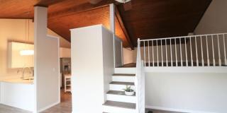 1005 Lakefront Drive Gallery 6