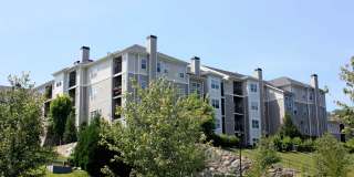 The Ridge Gallery 25