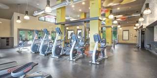 The Grove Somerset Gallery 13