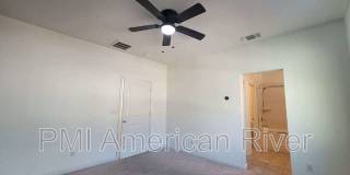 3805 Amelia Rose Way Gallery 10