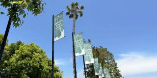 Village Pointe Gallery 16