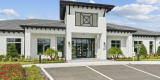 Ascend Angeline Gallery 65