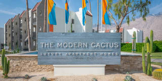 THE MODERN CACTUS Gallery 7