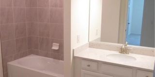 12032 Hawthorn Lake Dr Gallery 19