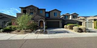 3781 E Ringtail Way Gallery 1