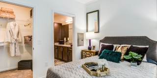 Allure Apollo Gallery 3