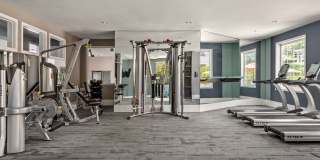 81 Fifty at West Hills Gallery 14