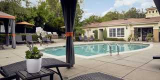 Alta Vista Gallery 11