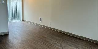 Mt. Pleasant Gallery 16