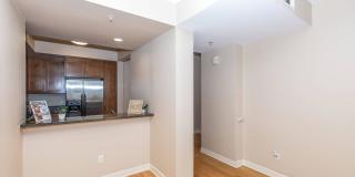 Oak Walk Gallery 47