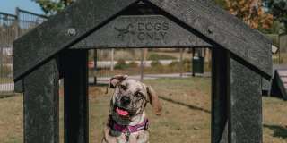 Westloop at the Diamond Interchange Gallery 87