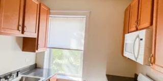 1903 West Addison Street Gallery 1