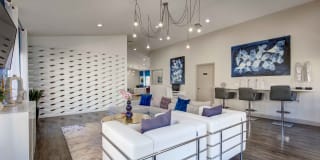 Vida Gallery 20