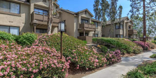 Spring Lakes Apartment Homes Gallery 24