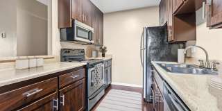 Shadow Ridge Gallery 2