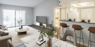 Palm Trace Landings Gallery 42