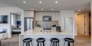 Ren Gallery 10