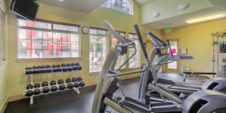 Mill Pointe Apartments Gallery 5