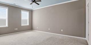 24636 WOOLLY MAMMOTH Terrace Gallery 22