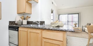 The Orsini Gallery 68