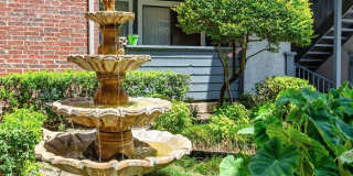 Fountains of Jupiter Gallery 3
