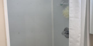 39 Farquhar St Gallery 4