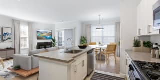 The Mercer at Lawrence Station Gallery 2