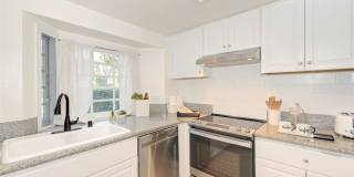 3341 Calle La Veta Gallery 15