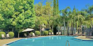 Oak & Ivy Gallery 20