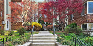 5405 9TH Street NW Gallery 6