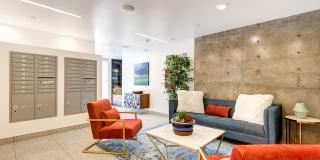 NOHO 55 Luxury Living Gallery 3