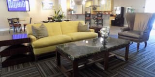 The Palms The Palms Gallery 12