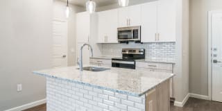 Cavalli at Iron Horse Station Gallery 17